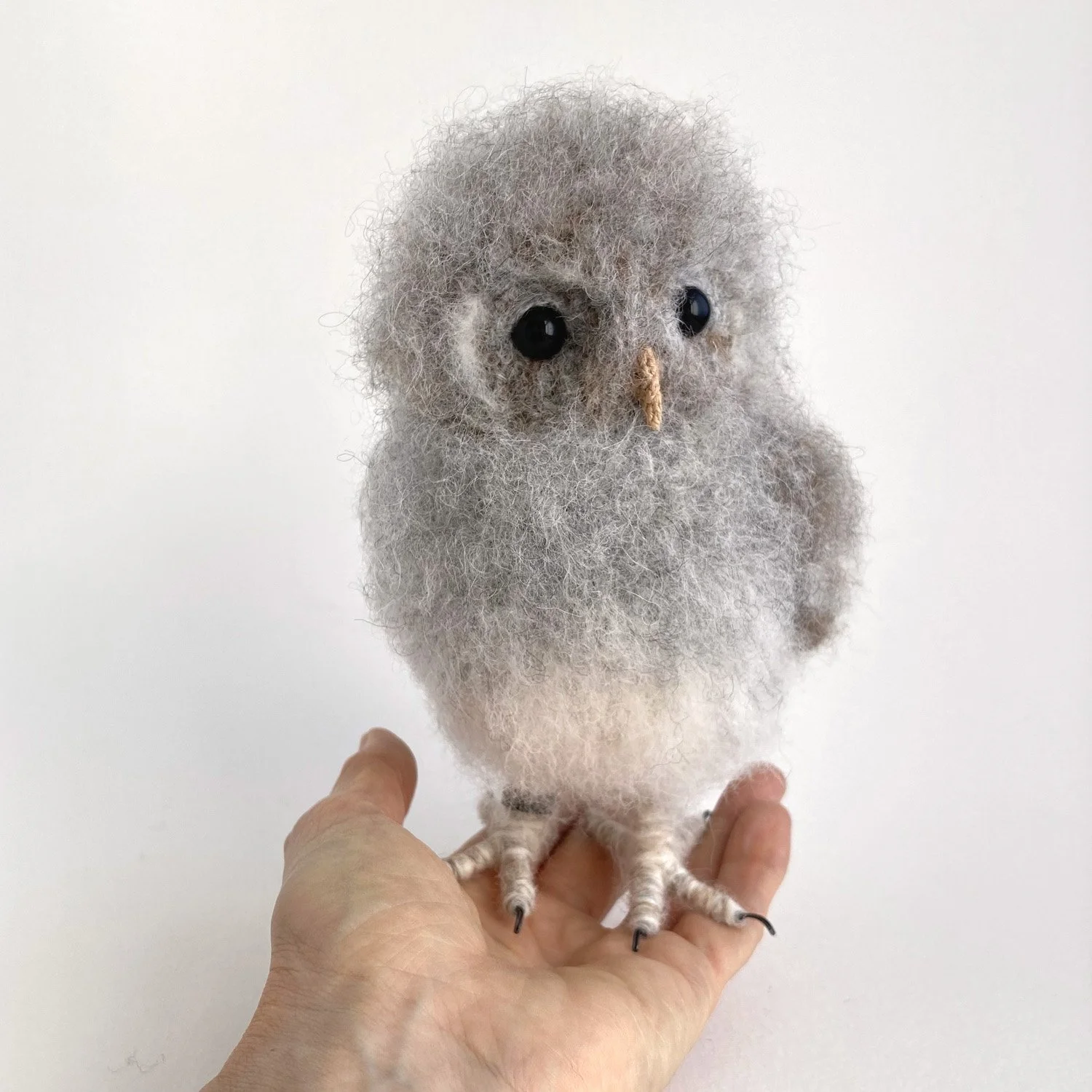 Baby tawny owl — Jose Heroys